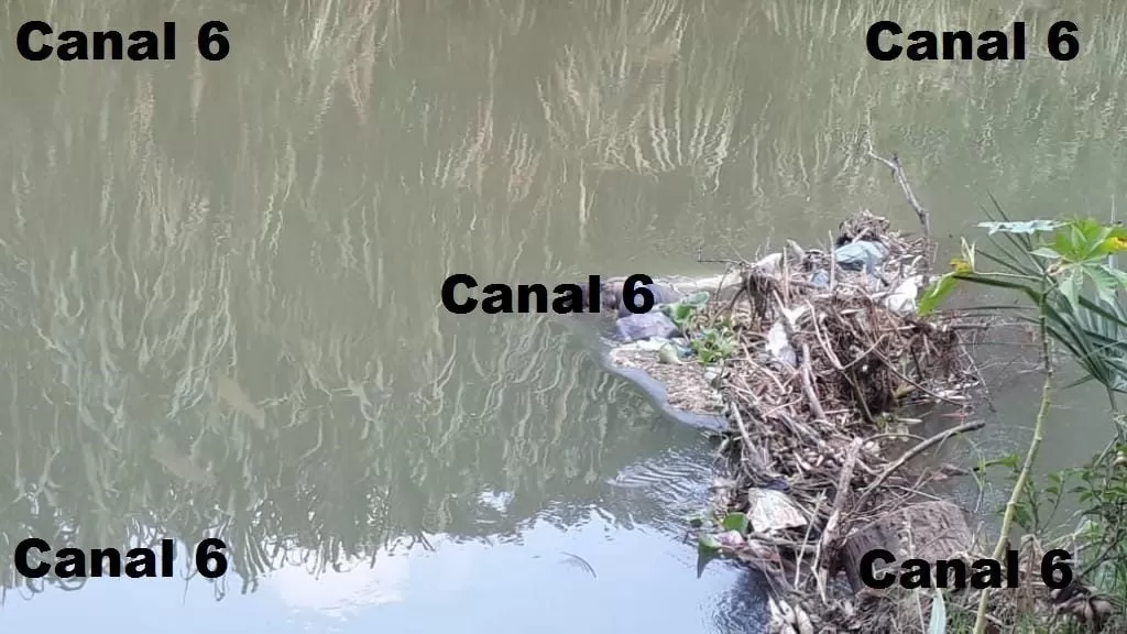Encuentran cuerpo sin vida de una persona a orillas del río Chamelecón, sector La Lima, Cortés