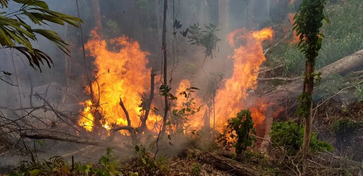 Voraz incendio forestal frente a comunidad de Las Mangas, cuenca de río Cangrejal
