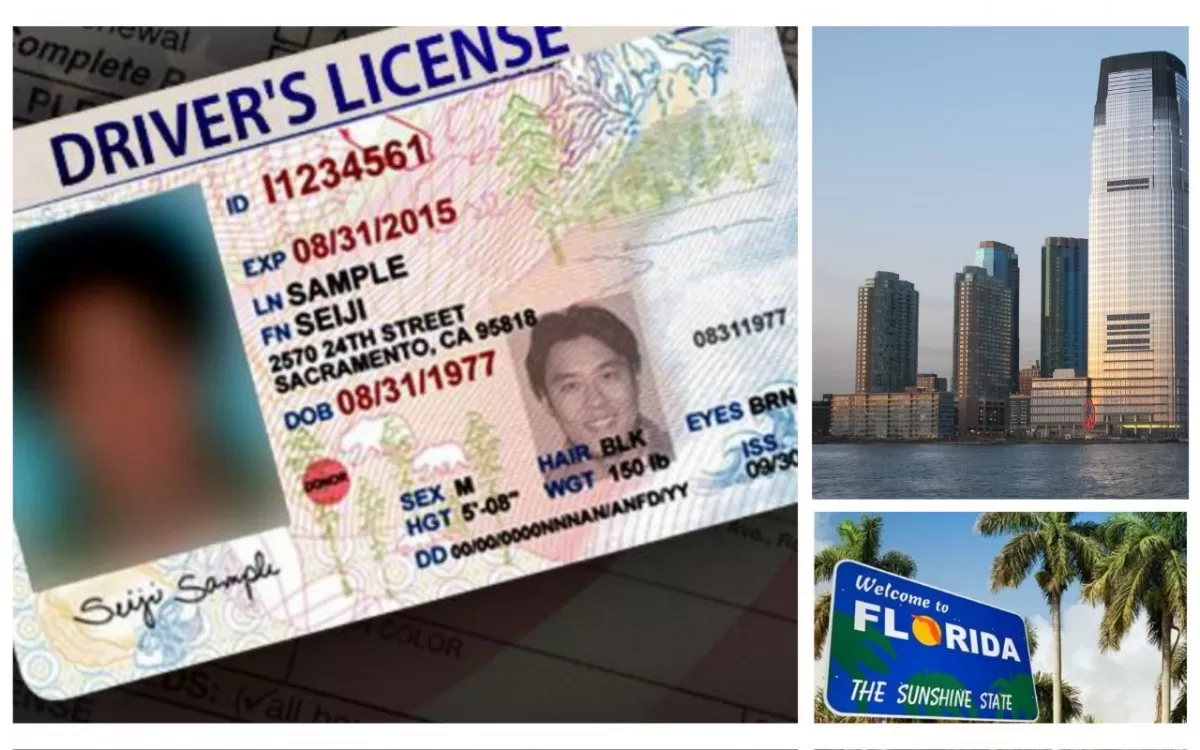 Indocumentados en Florida podrían obtener licencias de conducir