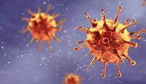 La infección de dos variantes del coronavirus al mismo tiempo es posible