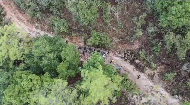 Con drones policiales, DIPAMPCO y funcionarios de la UDEP-12 detienen tres integrantes de la MS-13 de origen salvadoreño